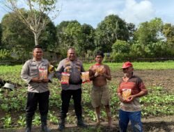 Polres Teluk Bintuni Berikan Bantuan Bibit Jagung Bertongkol Dua