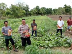 Bhabinkamtibmas Bersama Kelompok Tani Tunas Harapan Mulai Tanam Jagung di Kampung Vascodamnem