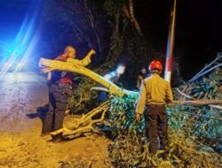 Sinergi Polri dan Masyarakat Bersihkan Pohon Tumbang di Belakang RS Bhayangkara