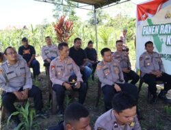 Panen Raya Jagung Kuartal III, Polres Sarmi Polda Papua Tegaskan Komitmen Dukung Petani
