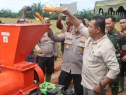 Kapolres Fakfak Pimpin Panen Raya Jagung Serentak Dukung Swasembada Pangan