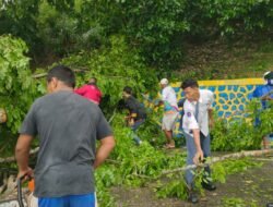 Sinergi Cepat Polri dan Warga Bersihkan Pohon Tumbang di Skyland Jayapura