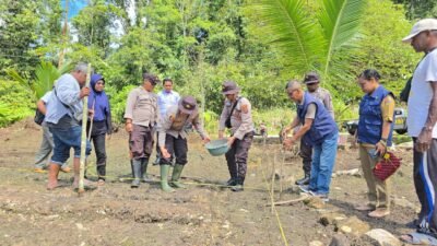 Polsek Fakfak Gencar Gerakan Ketahanan Pangan, Tanam Jagung Hibrida Wujudkan Swasembada Nasional