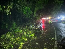 Aksi Cepat Personel Polda Papua Atasi Gangguan Akibat Angin Kencang