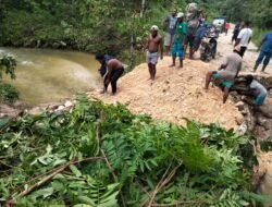 Kerja Sama Polsek Demta, Tokoh Pemuda, dan PT Skip Bulking Demta Wujudkan Perbaikan Sementara Jembatan KM 09