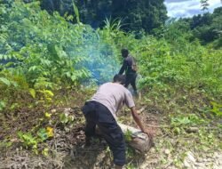 Kapolsek Tor Atas Bersama Personel dan Warga Bersihkan Jalan Akibat Pohon Tumbang