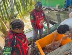 Bantu Dongkrak Ekonomi, Polres Asmat Salurkan Ribuan Bibit Ikan Nila dan Lele