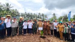 Dukung Program Hilirisasi Perkebunan, Dandim 1310/Bitung Ikut Tanam Kelapa