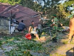 Atas Kesigapan Babinsa Jajarannya Atasi Bencana Pohon Tumbang, Dandim 1310/Bitung Beri Apresiasi