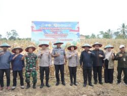 Peresmian 10 Gudang Polri, 166 SPPG di 18 Polda, dan Panen Raya Jagung Serentak Kuartal II Tahun 2026 Digelar di Manokwari
