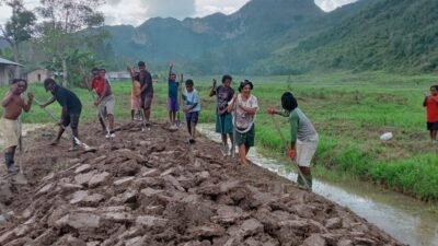 Kapolsek Kurulu Pantau Perkembangan Lahan Jagung Dukung Swasembada Pangan 2026