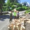 Agar Manfaatnya Dapat Segera Dirasakan, Pekerjaan Jembatan Perintis Garuda di Kelurahan Airmadidi Bawah Terus Dikebut Hingga Tuntas