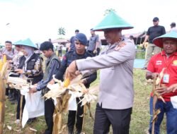 Polda Papua Barat Gelar Panen Raya Jagung, Dukung Swasembada Pangan Nasional