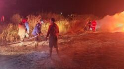 Personel Kodim 1310/Bitung Bersama Tim Damkar Pemkab Minut, Sigap Bantu Padamkan Kebakaran Lahan PT. FOI di Desa Wineru