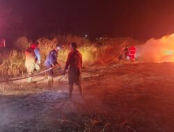 Personel Kodim 1310/Bitung Bersama Tim Damkar Pemkab Minut, Sigap Bantu Padamkan Kebakaran Lahan PT. FOI di Desa Wineru