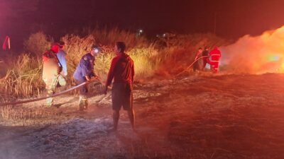 Personel Kodim 1310/Bitung Bersama Tim Damkar Pemkab Minut, Sigap Bantu Padamkan Kebakaran Lahan PT. FOI di Desa Wineru