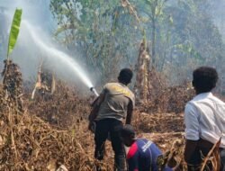 Dua Titik Karhutla Terdeteksi di Momiwaren, Polisi dan Tim Gabungan Lakukan Pemadaman